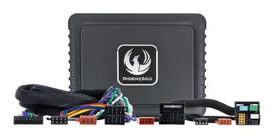 Digital Sound Processor (DSP)