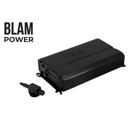 BLAM Amps BLAM Power BL-P601 Class-D Mono (1-Channel) 250w Amplifier