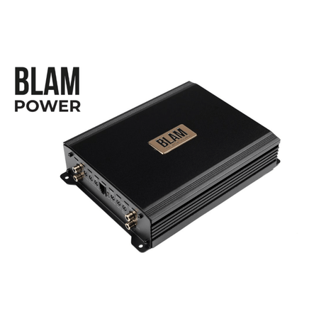 BLAM Monoblock Amp (For Subwoofers) BLAM Power BL-PTRUCK1001 Monoblock Class-D Truck Amplifier 1000W RMS (24V)