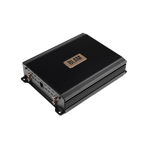 BLAM Monoblock Amp (For Subwoofers) BLAM Power BL-PTRUCK1001 Monoblock Class-D Truck Amplifier 1000W RMS (24V)