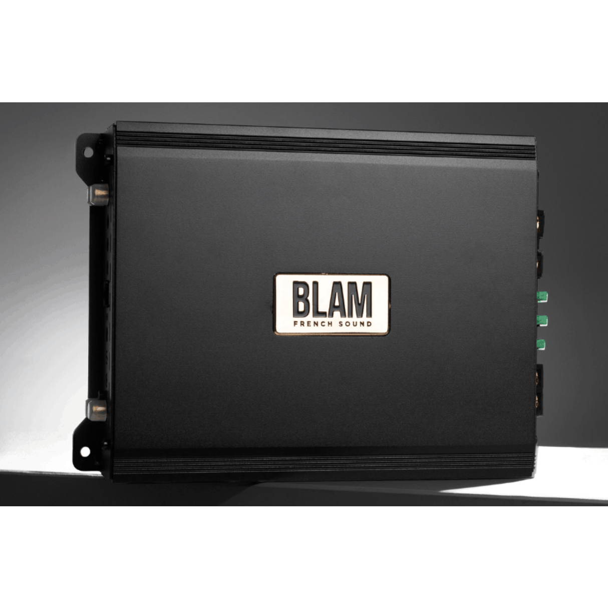 BLAM Monoblock Amp (For Subwoofers) BLAM Power BL-PTRUCK1001 Monoblock Class-D Truck Amplifier 1000W RMS (24V)