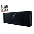 BLAM Car Subwoofers BLAM RELAX BL-CR25V 10" 300W Vented Active Car Subwoofer And Amplifier