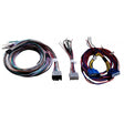 Connects2 Fitting Accessories Connects2 APH-FD01 Speaker Connection Harness for Ford Vehicles