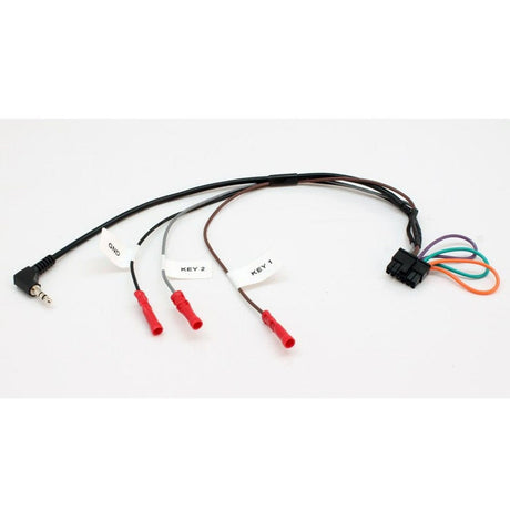 In Car Tec Fitting Accessories In Car Tec ICT29-CT-025 Universal Patch Lead 29-CT Series