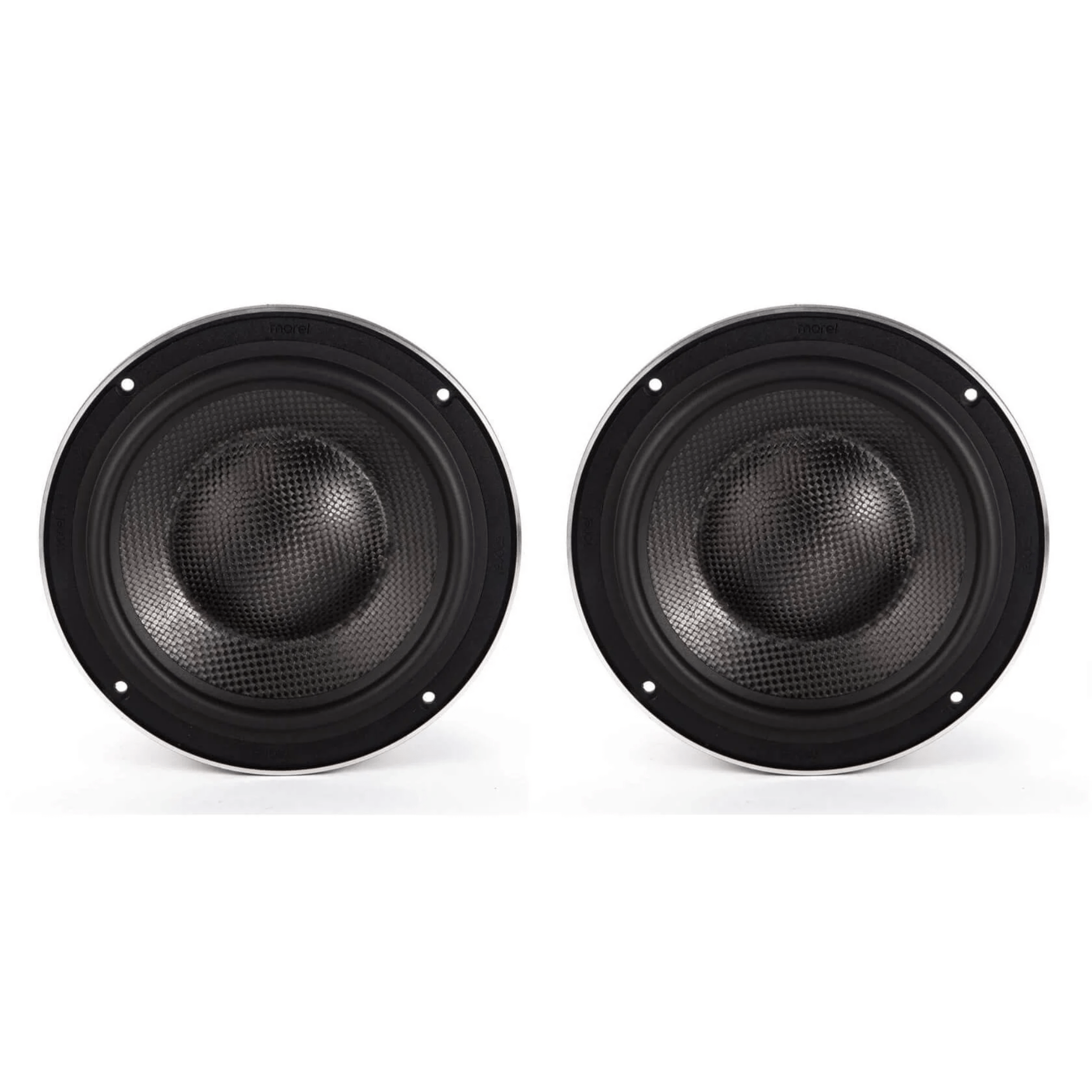 Morel Elate Carbon 6.5