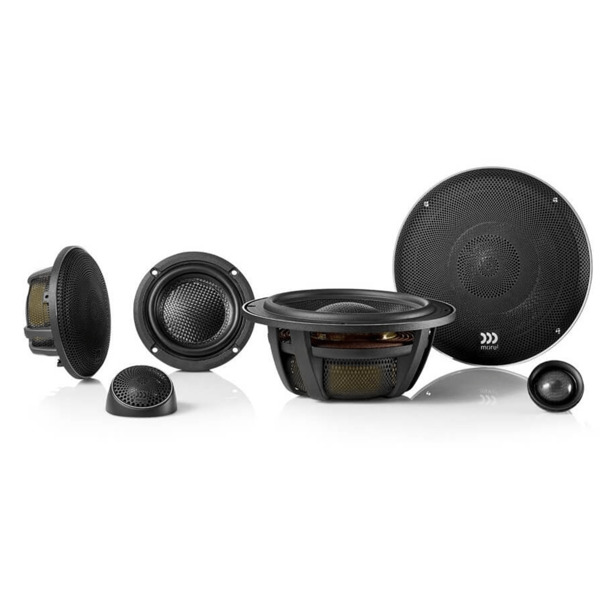 Morel Elate Carbon 6.5