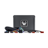 Phoenix Gold DSP Power Up Kit Phoenix Gold ZDAP-DC1 P&P DSP Power Up Kit for Dacia and Renault 2012-2020