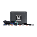 Phoenix Gold DSP Power Up Kit Phoenix Gold ZDAP-HND1 P&P DSP Power-Up Kit for Honda 2008 to 2017