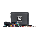 Phoenix Gold DSP Power Up Kit Phoenix Gold ZDAP-HYKI1 P&P DSP Power-Up Kit for Hyundai and Kia 2010>