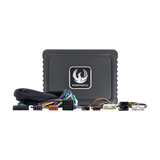 Phoenix Gold DSP Power Up Kit Phoenix Gold ZDAP-SY1 P&P DSP Power-Up Kit for Daewoo and SsangYong 20005>