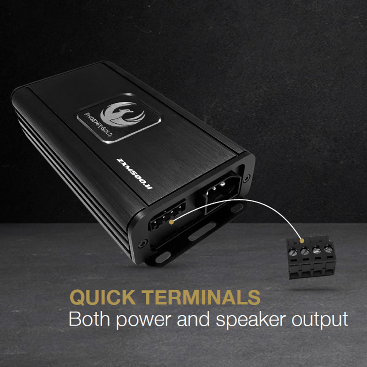 Phoenix Gold Amps Phoenix Gold ZXM500.1i Compact Class-D Mono Amplifier