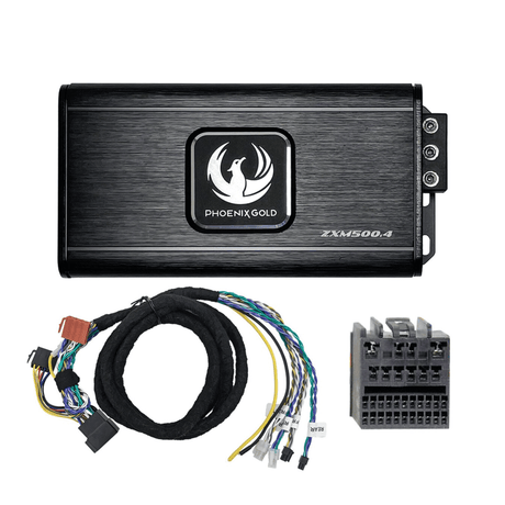 Phoenix Gold Amps Phoenix Gold ZXMPF1 Plug and Play Power-Up Kit for Ford 2010>